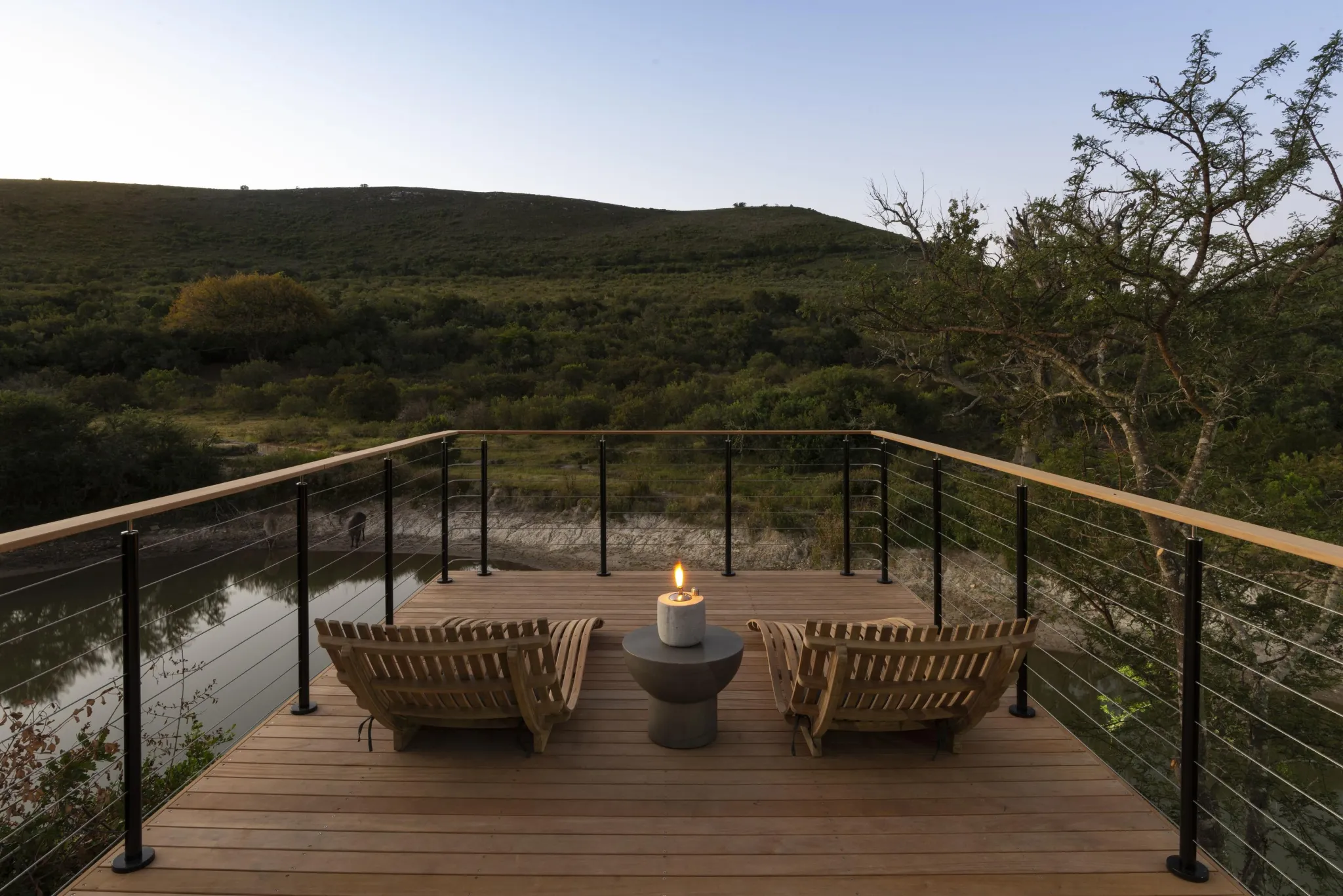 Shamwari Bayethe Lodge - 2